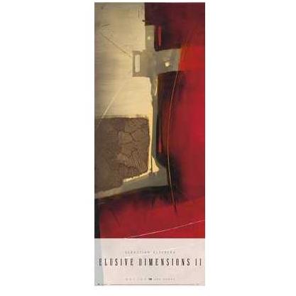 Sebastian Alterera - Elusive Dimensions II Size 34.25x13.25 Poster Print