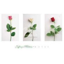 Jeffrey Milstein - Roses Size 26x16 Poster Print