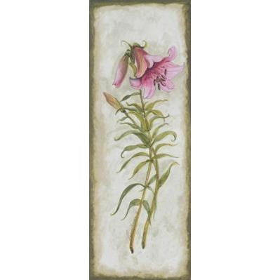 Summer Lily Poster Print