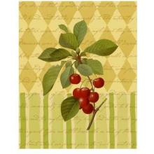 Botanical Cherries Poster Print