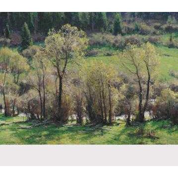 Arrival Of Spring Poster Print Picture