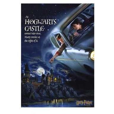 Harry Potter And The Chamber Of Secrets Poster Print