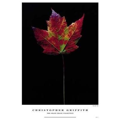 Plate 21 Poster Print