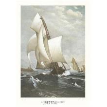 A Winning Yacht Poster Print