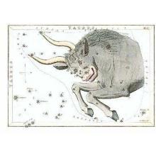 Zodiac Symbols - Taurus Poster Print