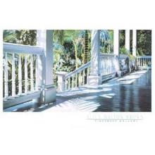 Patrick S Porch Poster Print
