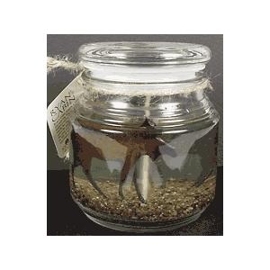 ACC Jar Candle Moose