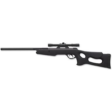 Gamo Recon W/4x20 & Mounts