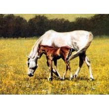 Summer Breezes (Le) Poster Print
