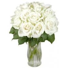 12 White Long Stem Roses