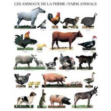 Farm Animals Poster Print