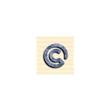 Texas Irons C Branding Iron