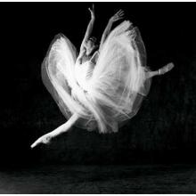 National Ballet Of Cuba, 2001 Poster Print