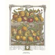 Twelve Months Of Fruits, 1732/April Poster Print