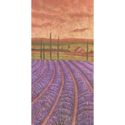 Soleil De Provence II Poster Print