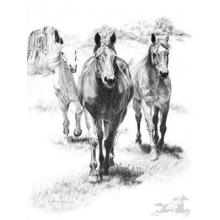 Trio Le Poster Print