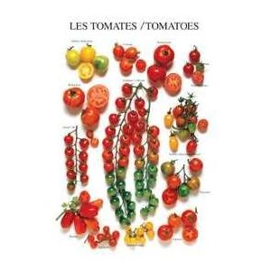 Tomatoes Poster Print