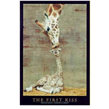 THE FIRST KISS (20 In. By 36 In.) - Print