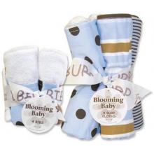 Max Bib And Burp Cloth Set