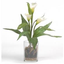 Calla Lilly W/Vase