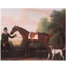 Lord Portmans S Snap Held By Groom Poster Print
