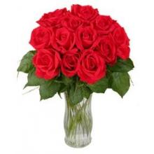 12 Red Long Stem Roses