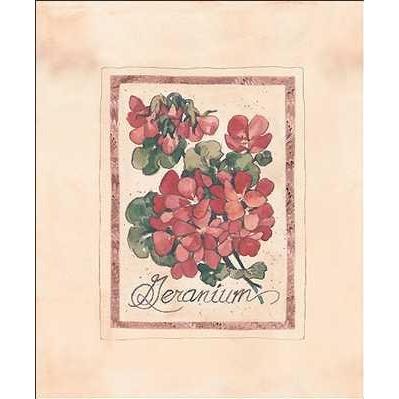 Vintage Geranium Poster Print