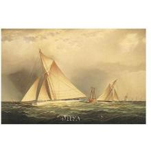 Puritan & Priscilla Off Sandy Hook Poster Print