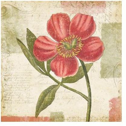 Chinese Peony II Poster Print