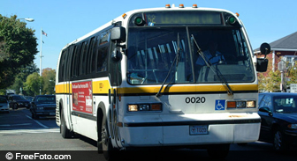 hawaii.guide.getting.around.buses