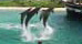 Tourism and Economic Issues in Hawaii