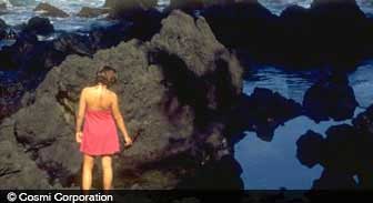 hawaii.guide.past.and.present.history