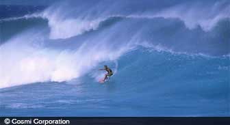 hawaii.guide.travel.basics
