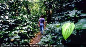 martinique.guide.accommodations.camping.and.eco.tourism