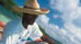 Booking It to Martinique