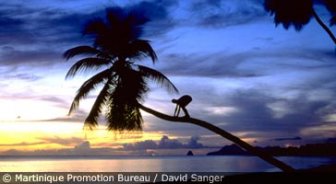 martinique.guide.travel.basics