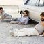 The Hangover