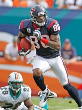 Andre Johnson 