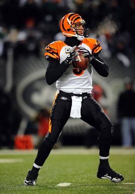 Cincinnati Bengals quarterback Carson Palmer in action against the New  Orleans Saints in the first half of an NFL football game, Sunday, Dec. 5,  2010, in Cincinnati. (AP Photo/David Kohl Stock Photo 