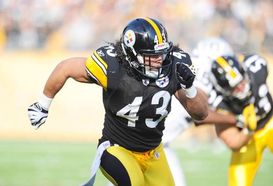 Troy Polamalu