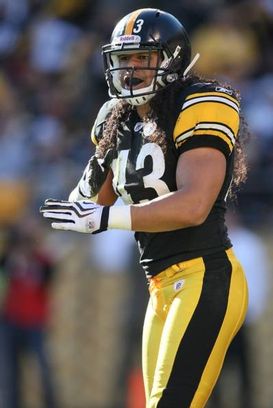 Troy Polamalu