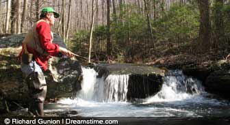 maryland.guide.planning.your.trip.making.decisions