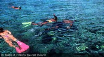 turksandcaicos.guide.activities.diving.and.snorkeling