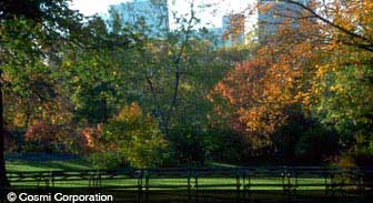 newyork.guide.planning.your.trip.when.to.go