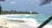 Camping and Eco-Tourism on The Bahamas