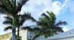 The Bahamas' Entertainment and Nightlife