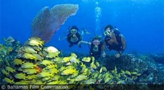 bahamas.guide.activities.diving.and.snorkeling
