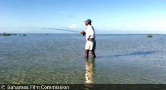 bahamas.guide.activities.fishing.and.chartering