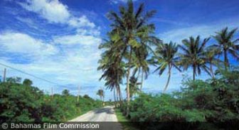 bahamas.guide.getting.around.rental.cars