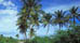 The Bahamas' Rental Cars